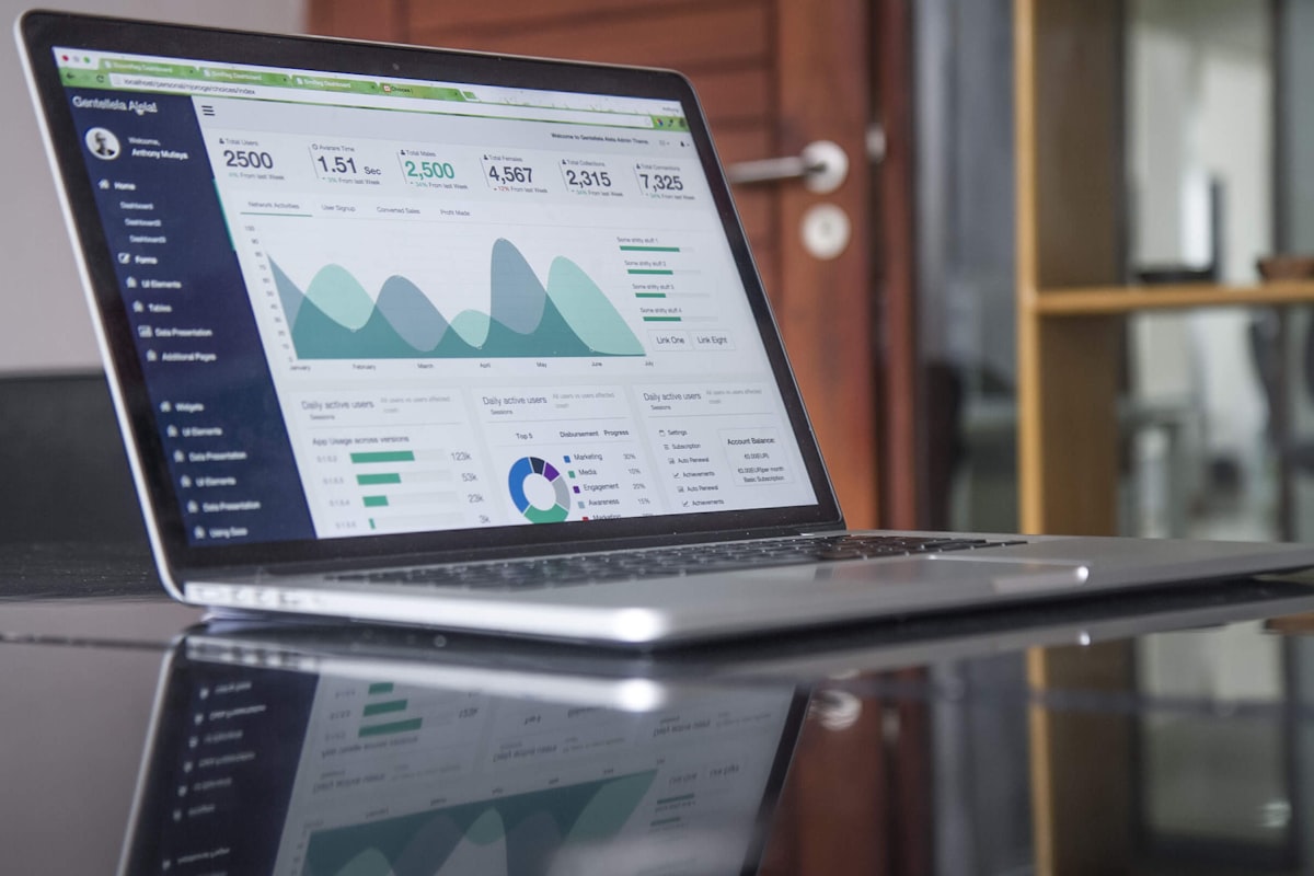Analytics and Growth Chart